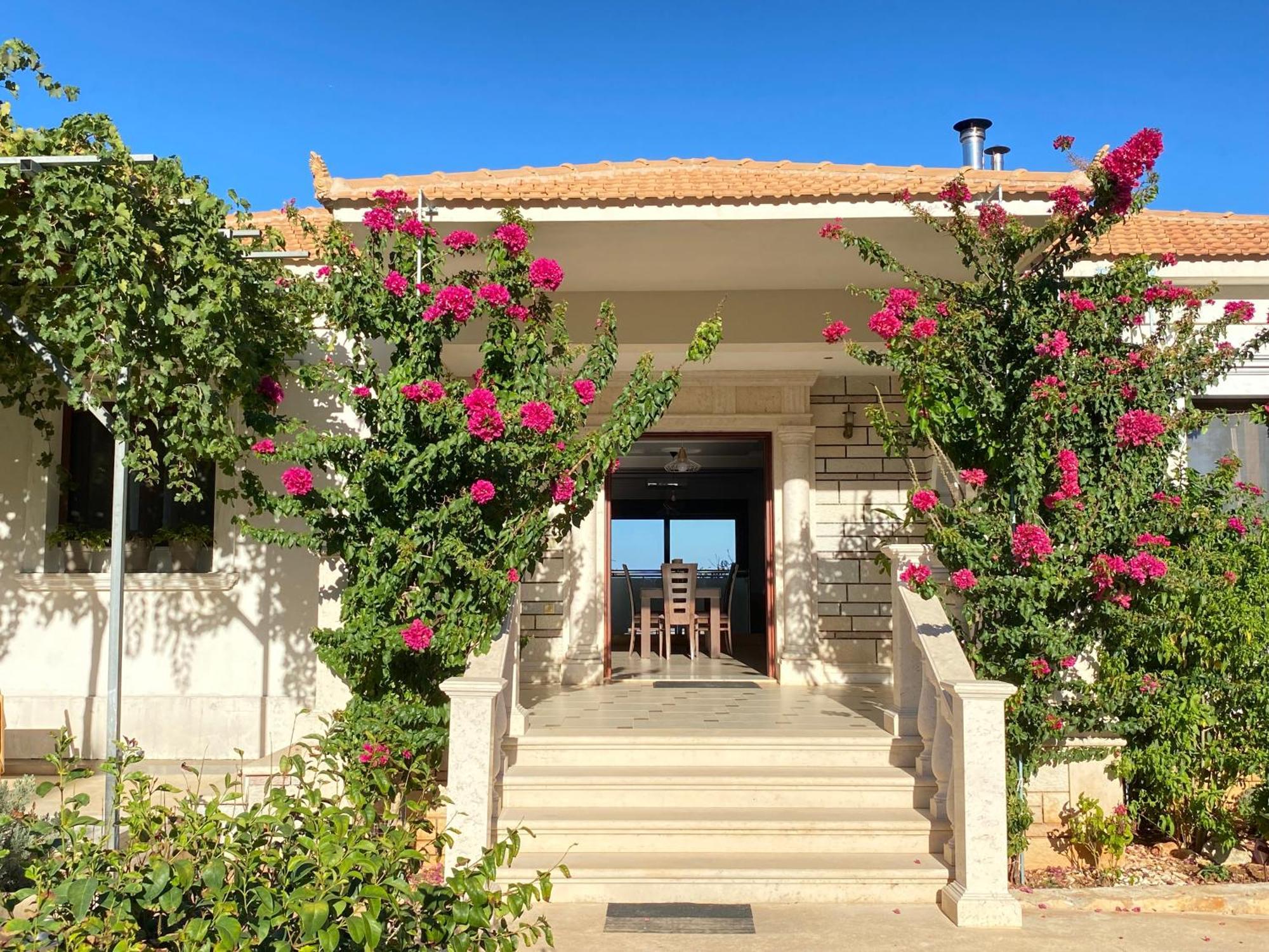 Villa Serenity Agia Marina  Luaran gambar