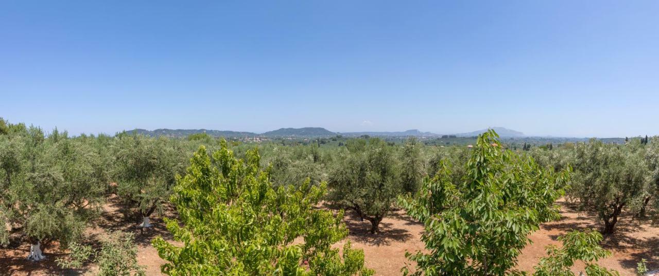 Villa Serenity Agia Marina  Luaran gambar