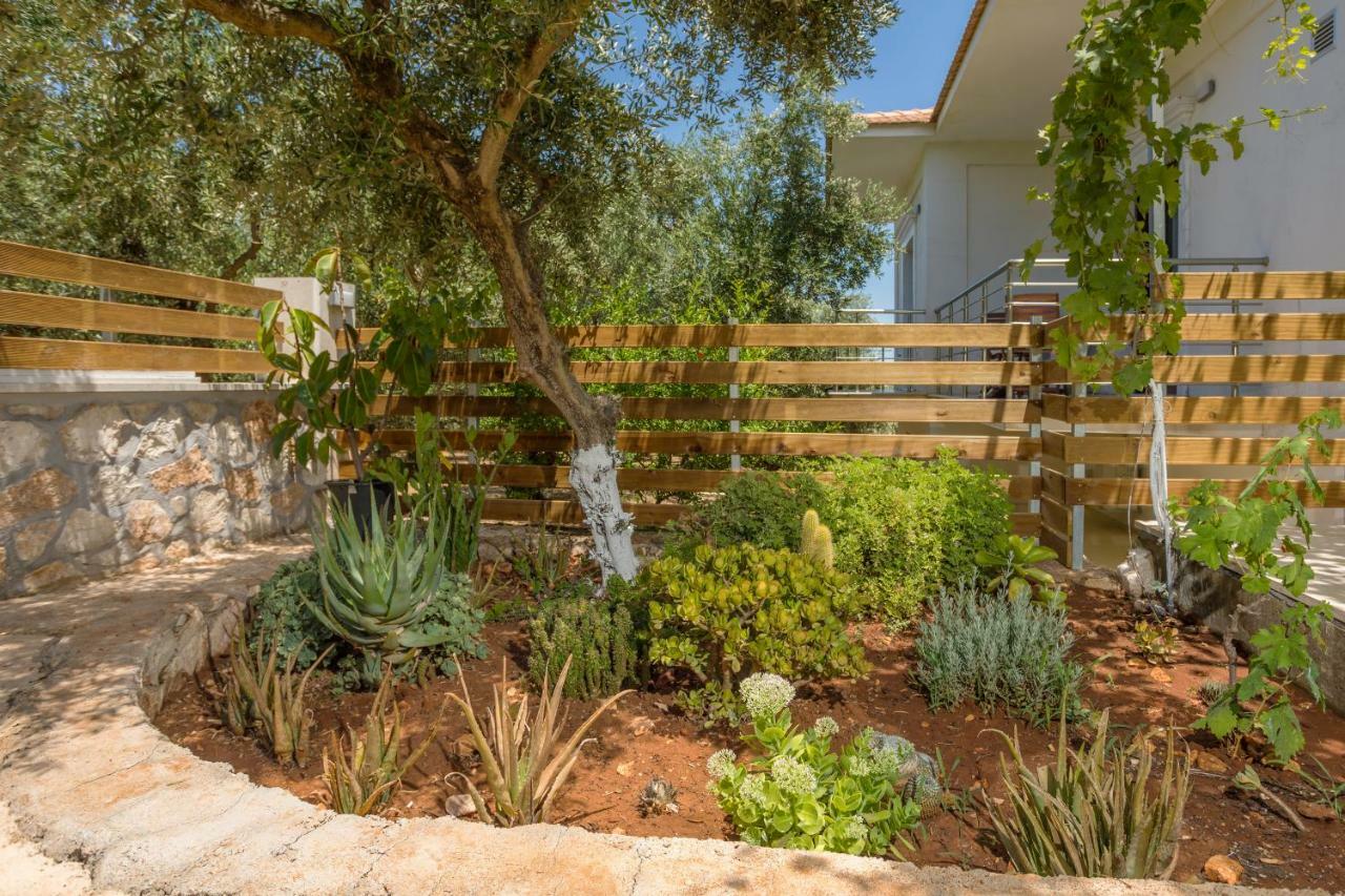 Villa Serenity Agia Marina  Luaran gambar